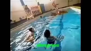 nesshit