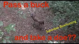 Pass a Buck or Shoot a Doe?