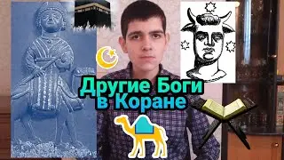 Другие Боги в Коране, Баал, Аллат, Вадд, доисламские Боги, Аллах не один