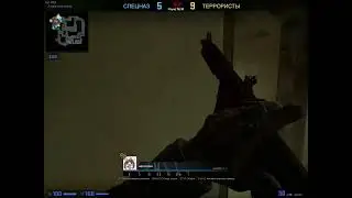 My teammate CSGO