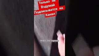 гараж #гараж #гаражные работы