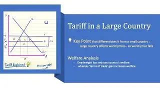 Tariff in a large country
