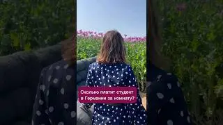Сколько стоит аренда жилья в Германии? #германия #учебавгермании #жизньвевропе