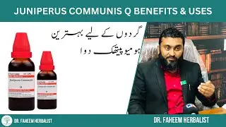 Juniperus Communis Q BENEFITS & USES | Dr Fahim Herbalist