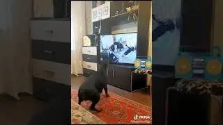 Умница!