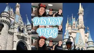 we took on DISNEY