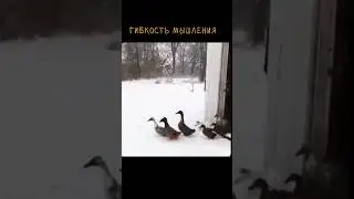 маршрут перестроен 