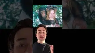 The Attack of Travis the Chimp.😨