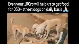 CAN ANYONE DONATE USDOG FOOD BAG?? PHONEPE/PAYTM :- 91732 38932 , PAYPAL:- DHRUVMADDY94@GMAIL.COM