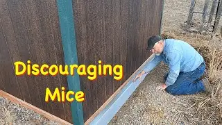 Those Pesky Mice, Voles & Rabbits | Engels Coach Shop