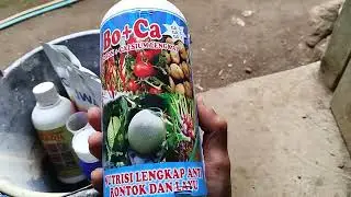 Review Bo+Ca NUTRISI LENGKAP ANTI RONTOK DAN LAYU
