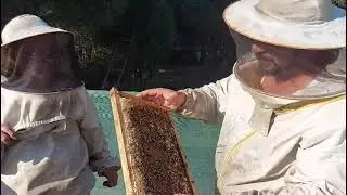 Arılığımızda uygulamalı eğitim... Yeni arıcı adaylarımızla birlikteyiz.