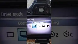 How to Set Continuous Photography on the Canon 600D 
