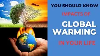 The Truth About Global Warming: Understanding the Science and Impacts