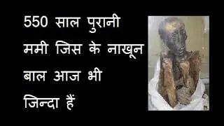 550 साल पुरानी ममी | 3,000-year-old mummy |Ancient mummy |Pregnant Egyptian mummy |