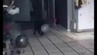 Прикол 2016-год