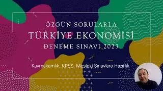Türkiye Ekonomisi, KPSS, Kaymakamlık Çözümlü Deneme