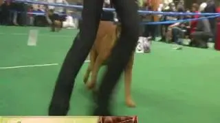 Лавли Фром Бордо Кликсейк