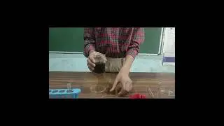 ਚਾਈਨਾ ਰੋਜ਼ ਸੂਚਕ ਤਿਆਰ ਕਰਨਾ ਕਿਰਿਆ (class 7)how to make China rose indicator#scienceexperiment