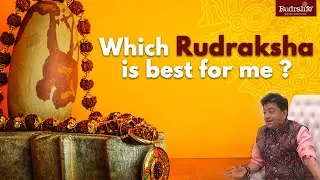Choosing the Best Rudraksha: Everything You Need to Know!