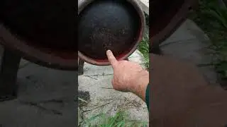 Печь из пропановского болона с камерой догорания