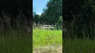 Умба, Белое море. 