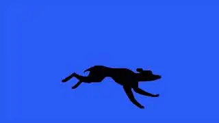 running dog green screen/animation running dog on green screen