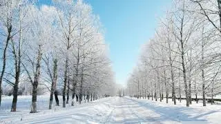 Sonidos relajantes al caminar por la nieve. pasos sobre nieve