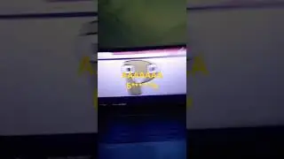 БУДЕМ КАТАТЬСЯ НА ТЕЛЕЖКЕ