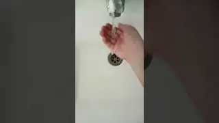 что делать если укусила змея