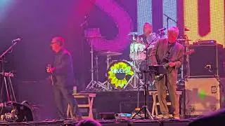 Let's Rock Shrewsbury 2024 - Squeeze - "Cool For Cats"
