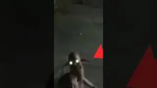Что это за существо? Что за гоблин?#shortvideo #shorts #short #мистика