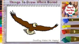 How To Draw A Bald Eagle Flying Easy Step By Step For Beginners