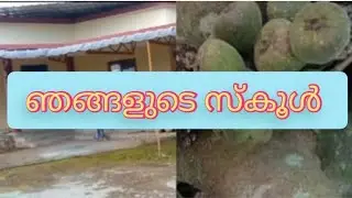 ep#2 ഞങ്ങളുടെ സ്കൂളും അവുടുത്തെ കാഴ്ചകളും