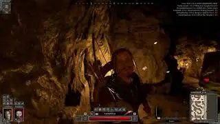 solo yolo