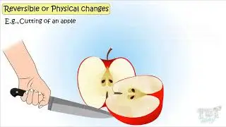 Physical and Chemical Changes: Chemistry For Kids | TutWay