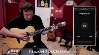 Doug Young Demos the L.R. Baggs Voiceprint DI