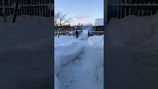 Петарда атас 🧨💥