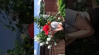 Подмосковье 31 мая💗
