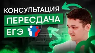 Консультация для пересдающих ЕГЭ по биологии | Биология ЕГЭ с Мишей Гис | 2024 | СМИТАП