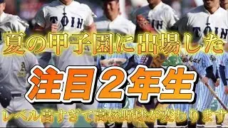 夏の甲子園で大活躍した2年生を紹介