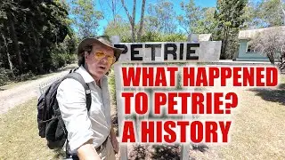 What Happened to PETRIE? A History