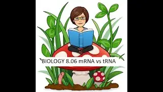 BIO 8.06 mRNA vs tRNA