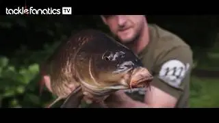 Tackle Fanatics TV - Mainline Pastel Barrel Wafters