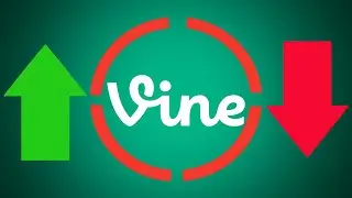 How Vine Entered The Red Ring Of Death - The Rise And Fall