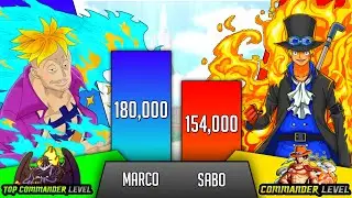 Marco Vs Sabo Power Levels - SP Senpai 🔥