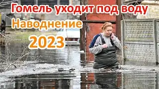 Ужас! Наводнение 2023 Гомель | Разлив реки Сож в Гомеле | Потоп в Гомеле 2023 | Гомель затопило 2023