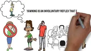Why Is Yawning So Contagious?