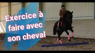 Exercice sur barres au sol + je commente ma séance.