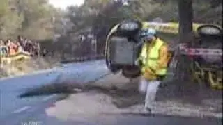 A lucky guy behind a tree